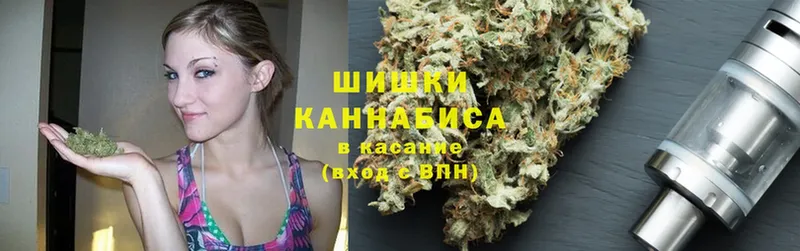 Бошки марихуана Amnesia  даркнет сайт  Амурск 